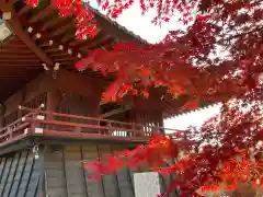 本土寺(千葉県)