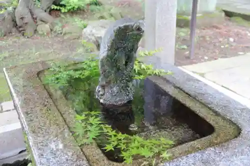 神炊館神社 ⁂奥州須賀川総鎮守⁂の手水