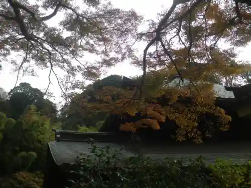 瑞泉寺のその他建物