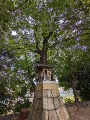 常磐神社(京都府)