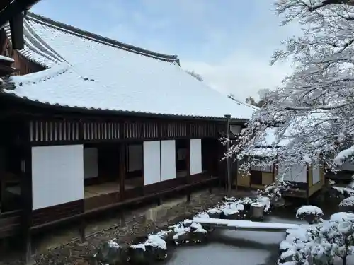 三宝院（三宝院門跡）の{uncategorized: "未分類", other: "その他", undefined: "問題あり", building: "その他建物", grave: "お墓", sacred_gate: "鳥居", guardian: "狛犬", statue: "像", buddha: "仏像", history: "歴史", nature: "自然", garden: "庭園", animal: "動物", pagoda: "塔", temizu: "手水舎", mountain_gate: "山門・神門", sanctuary: "本殿・本堂", subordinate: "末社・摂社", art: "芸術", scenery: "景色", jizo: "地蔵", ema: "絵馬", goshuin: "御朱印", omikuji: "おみくじ", items: "授与品その他", amulet: "お守り", goshuincho: "御朱印帳", eats: "食事", festival: "お祭り", votive_dance: "神楽", shichigosan: "七五三参", wedding: "結婚式", experience: "体験その他", initially: "初詣", around: "周辺", anti_infection: "感染症対策"}