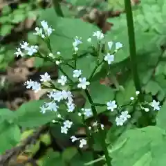 瑞源寺の自然