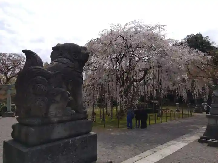 足羽神社(福井県)