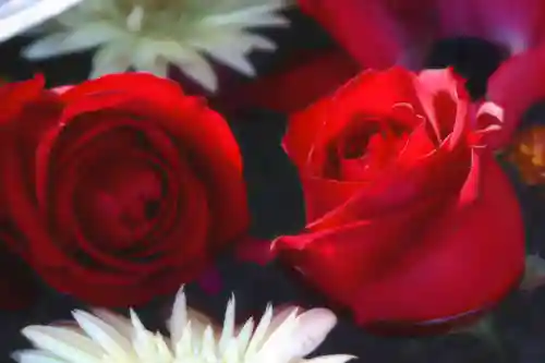 三津厳島神社の手水舎