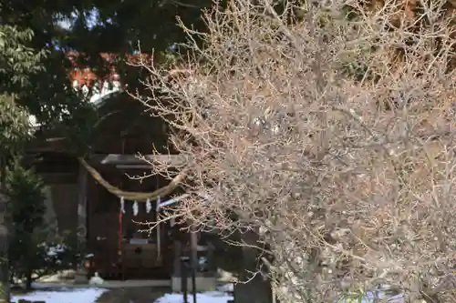 庄野菅原神社の自然
