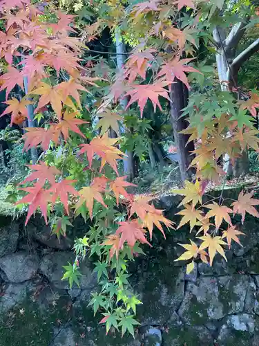 西明寺(滋賀県)