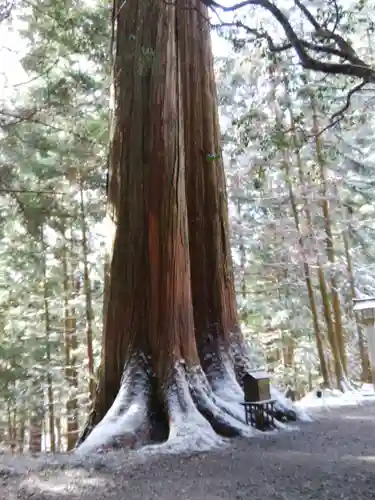 三峯神社(埼玉県)