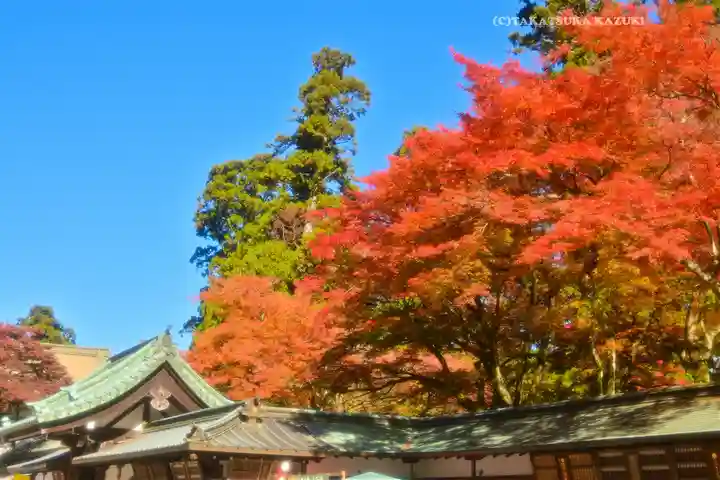 最乗寺(道了尊)(神奈川県)