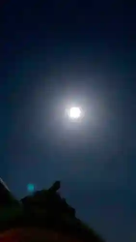 多治速比売神社(大阪府)