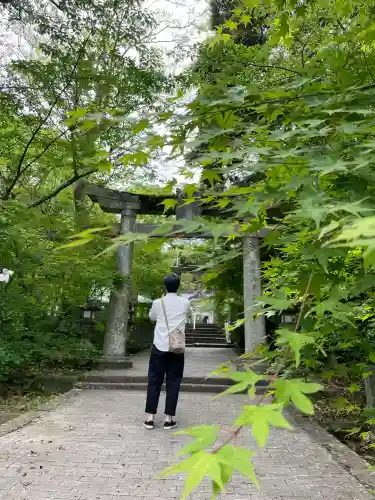 矢上神社の{uncategorized: "未分類", other: "その他", undefined: "問題あり", building: "その他建物", grave: "お墓", sacred_gate: "鳥居", guardian: "狛犬", statue: "像", buddha: "仏像", history: "歴史", nature: "自然", garden: "庭園", animal: "動物", pagoda: "塔", temizu: "手水舎", mountain_gate: "山門・神門", sanctuary: "本殿・本堂", subordinate: "末社・摂社", art: "芸術", scenery: "景色", jizo: "地蔵", ema: "絵馬", goshuin: "御朱印", omikuji: "おみくじ", items: "授与品その他", amulet: "お守り", goshuincho: "御朱印帳", eats: "食事", festival: "お祭り", votive_dance: "神楽", shichigosan: "七五三参", wedding: "結婚式", experience: "体験その他", initially: "初詣", around: "周辺", anti_infection: "感染症対策"}