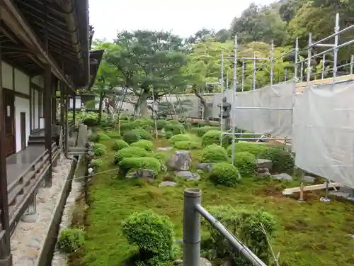 金剛寺の庭園