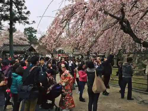 氷室神社のその他建物