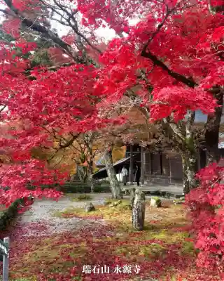 永源寺(滋賀県)