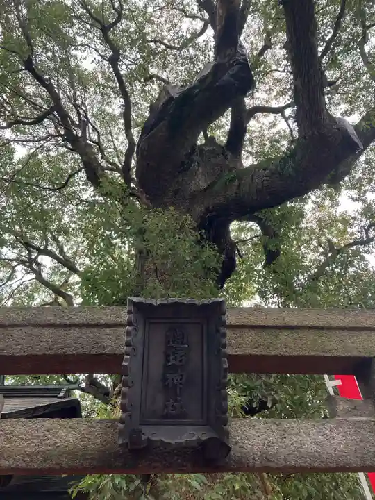 住吉大社(大阪府)