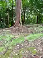 鎌田神明宮(静岡県)