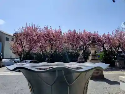 荘厳寺(東京都)