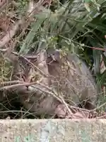 西照寺(東京都)