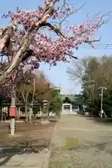 砂川神社の本殿