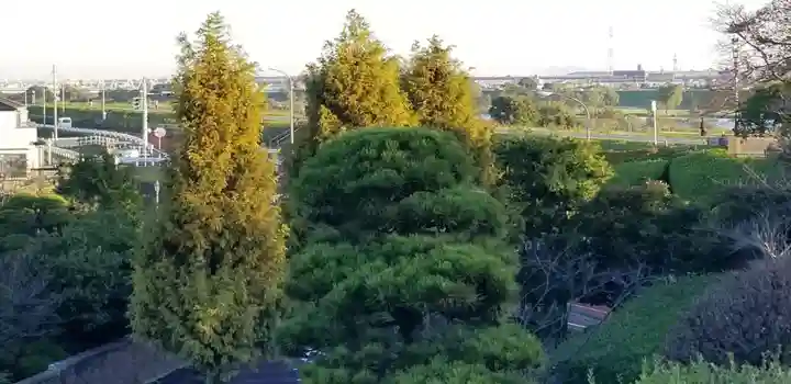 題経寺(柴又帝釈天)の自然