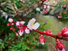 滑川神社 - 仕事と子どもの守り神の自然