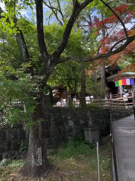 深大寺(東京都)