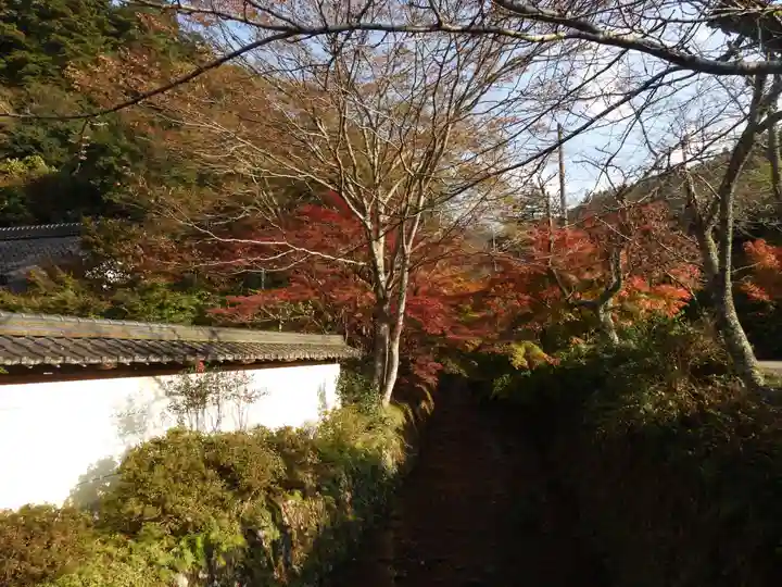 金剛院(京都府)