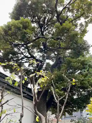 池袋水天宮(東京都)