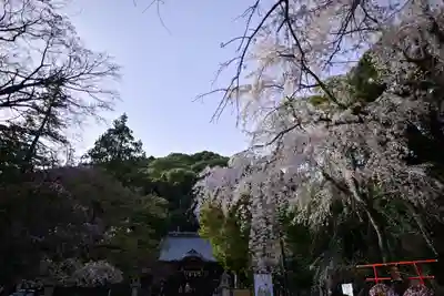 伊豆山神社(静岡県)