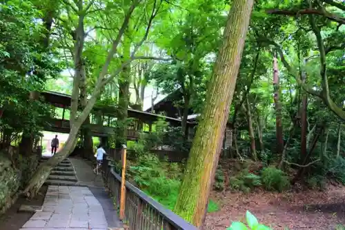 報徳二宮神社の自然