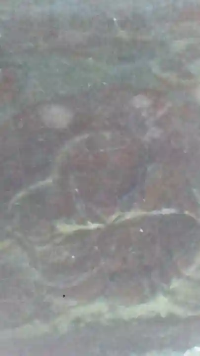 臼杵石仏のその他建物