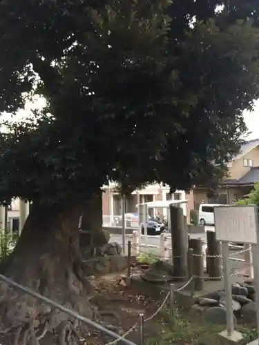 八幡宮のその他建物