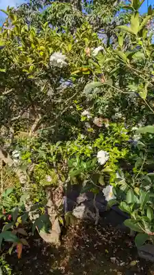 相国寺（相国承天禅寺）(京都府)