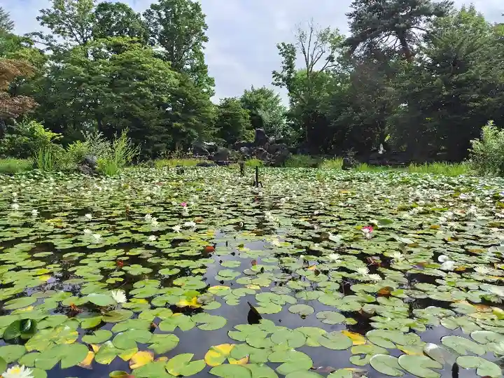 北海道護國神社の庭園