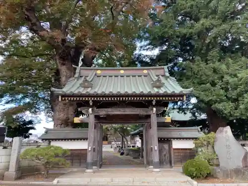 梅岩寺の山門