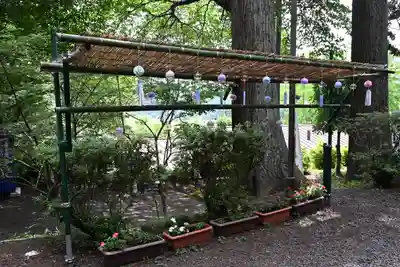 坪沼八幡神社(宮城県)