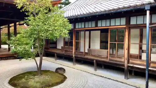 建仁寺（建仁禅寺）の庭園