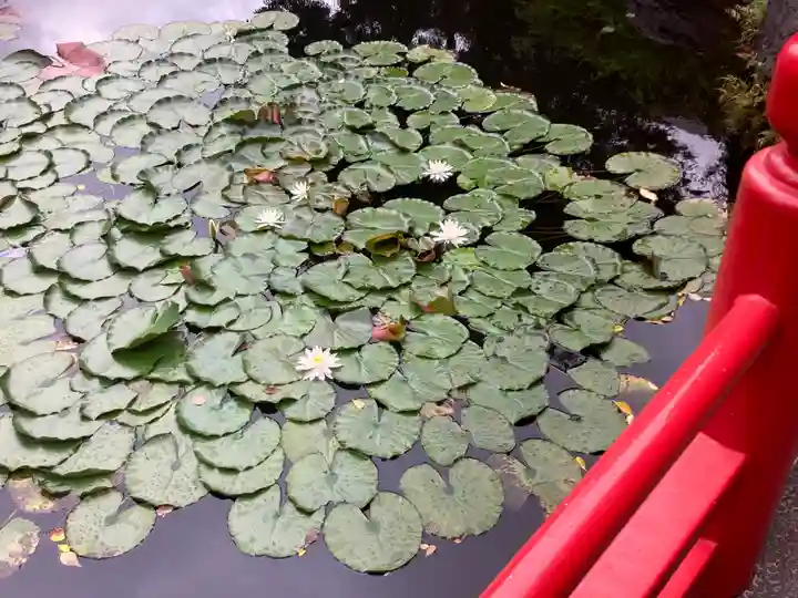 弁財天社(東京都)