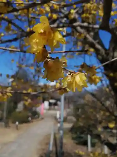 境香取神社の自然