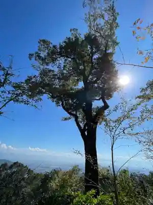 朝護孫子寺(奈良県)
