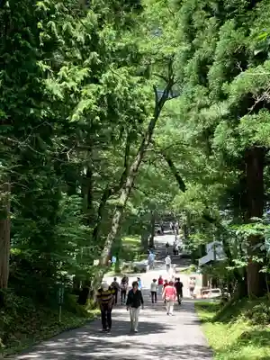 戸隠神社奥社(長野県)