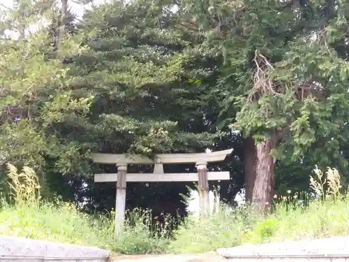 神社(名称不明)の鳥居