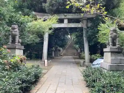 赤坂氷川神社の鳥居
