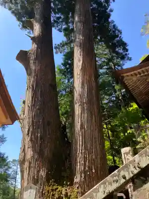 榛名神社(群馬県)