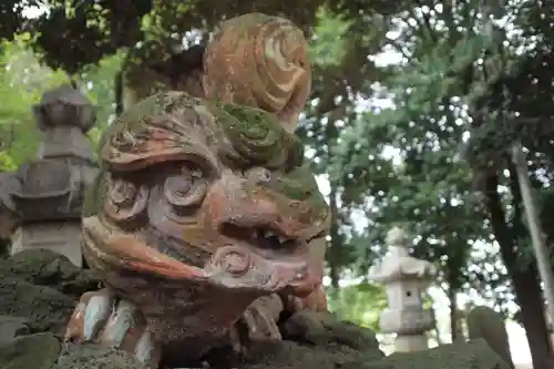 雀神社の狛犬