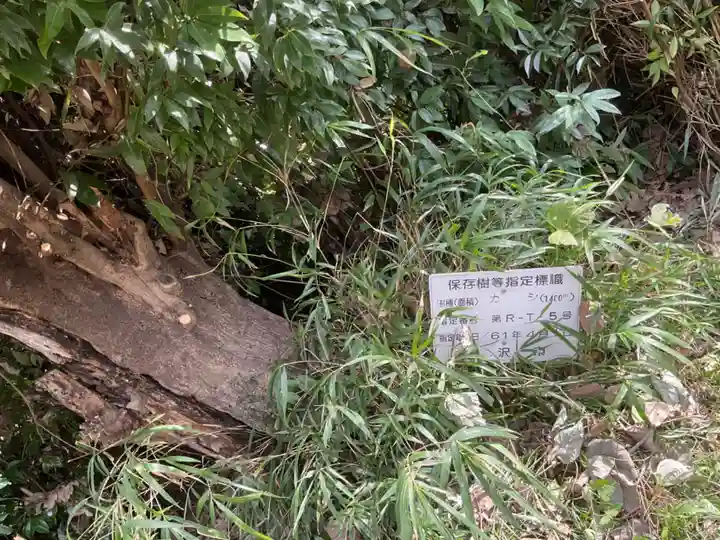 八龍社(愛知県)