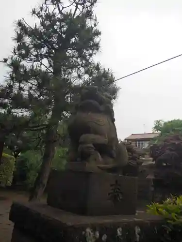 氷川神社の狛犬