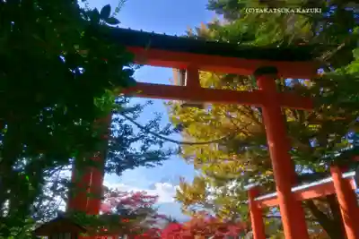 新倉富士浅間神社(山梨県)