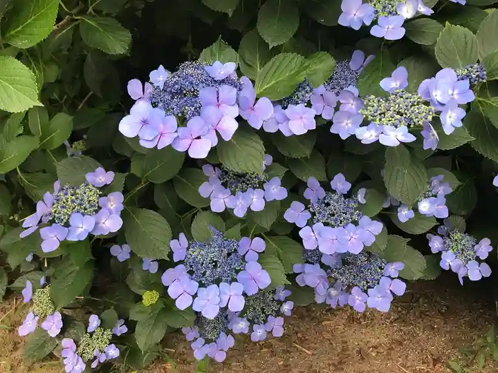 放光寺(山梨県)