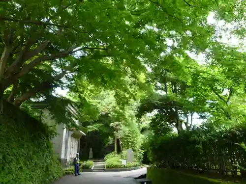 建長寺の自然