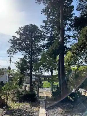 諏訪神社(千葉県)